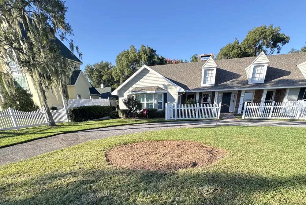 Removed Stump