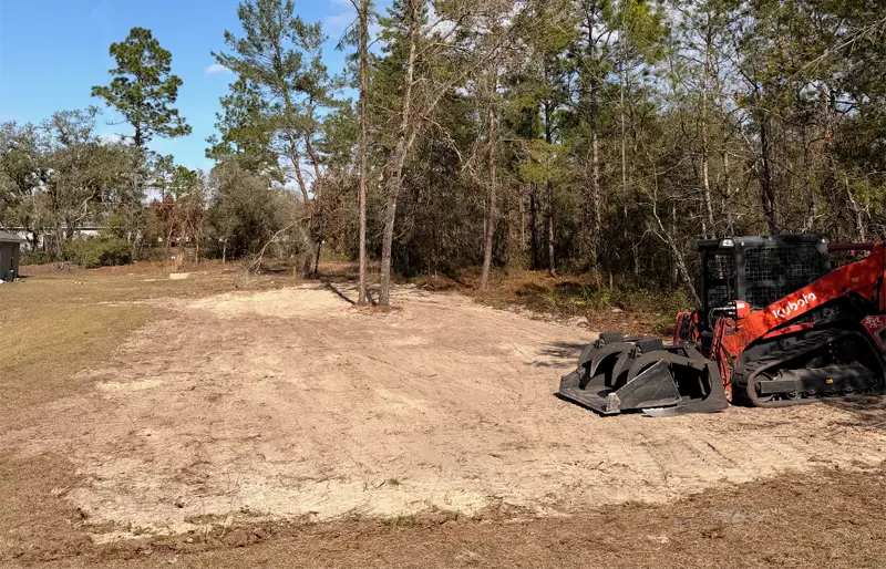 Cleared Land