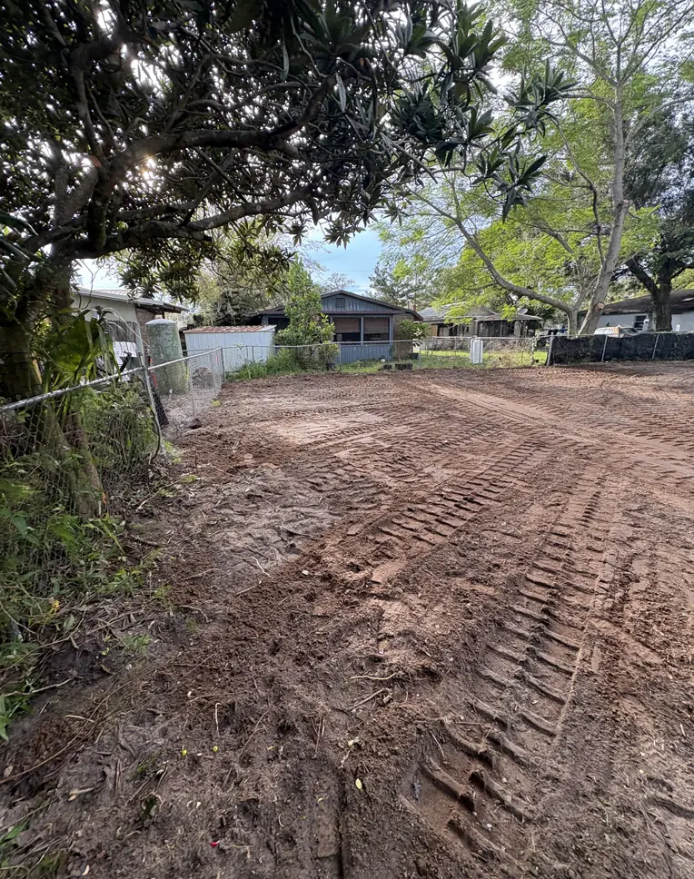Cleared vegetation