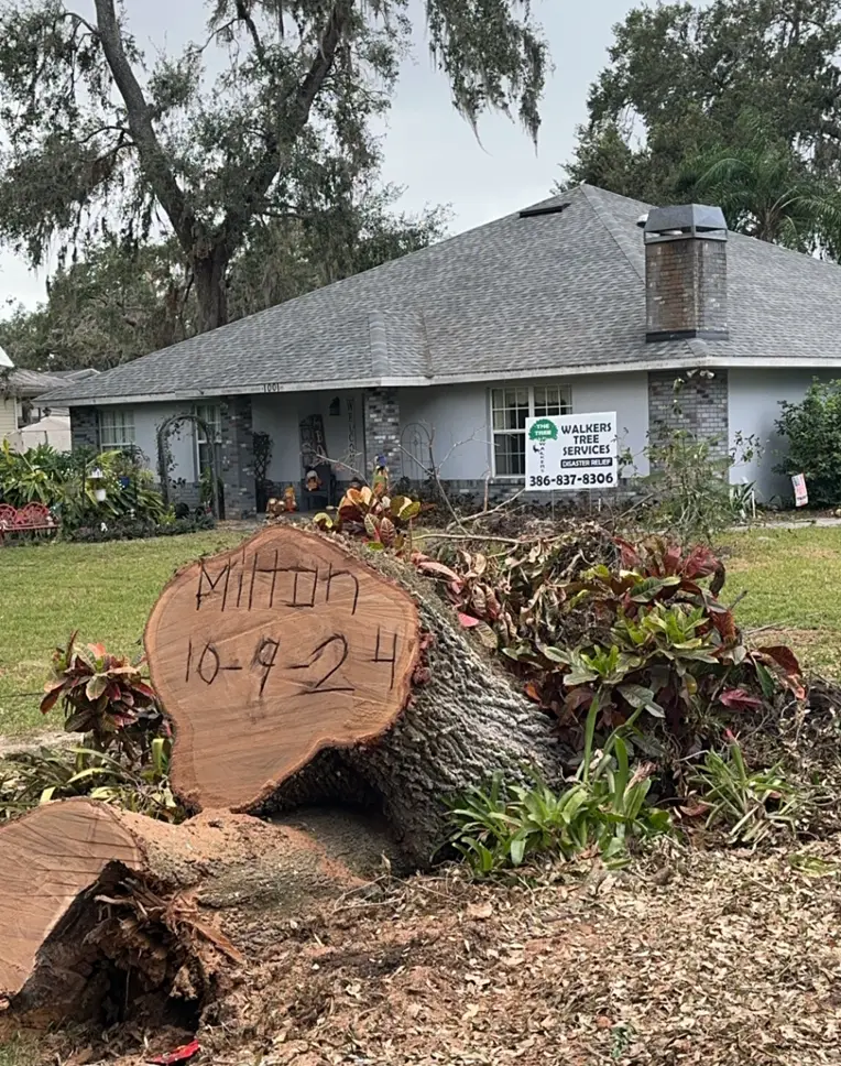 Hurricane Milton